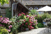The gardens of Alsace
